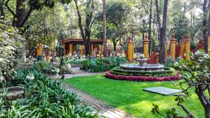 Música, naturaleza y café en la Fonoteca